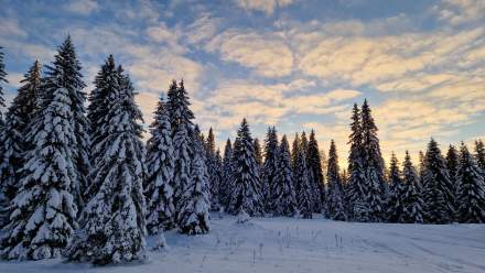Ski dans le Jura